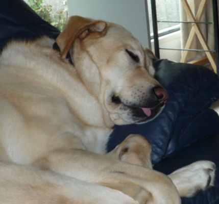 Loukoum max 3