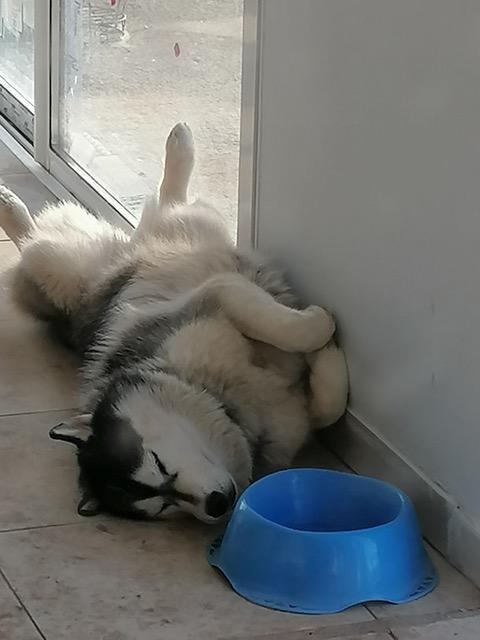 Louky et kira 2