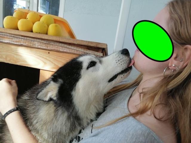 Louky et kira 3