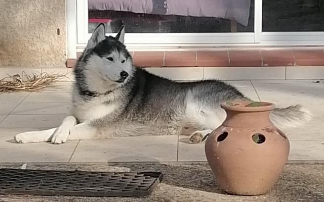Louky et kira 5