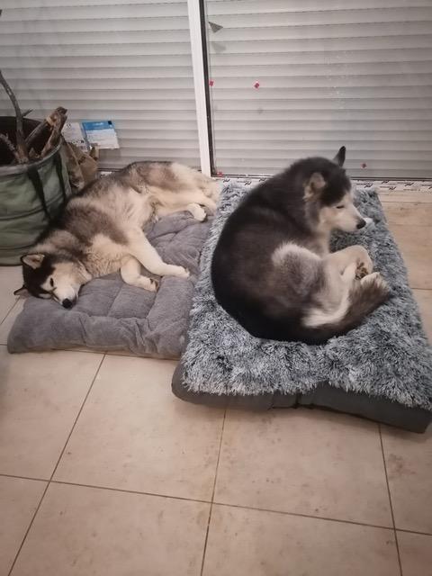 Louky et kira 7