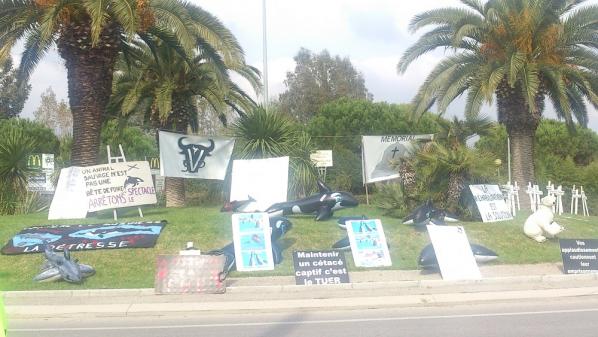 Manif marineland3