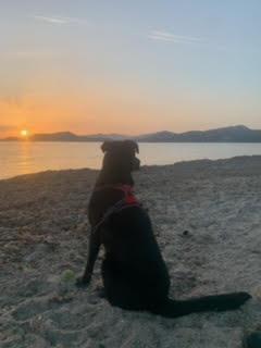 Marley 8
