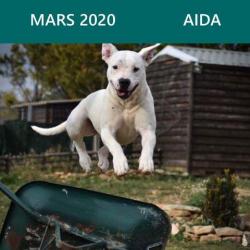 Mars 2020