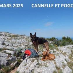Mars 2025