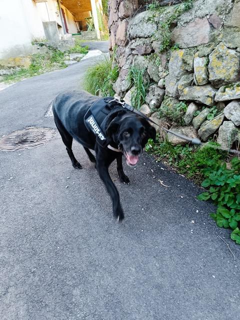Max 2