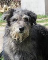 Max tete2