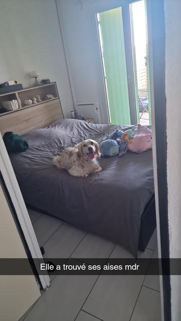 Mikki 1