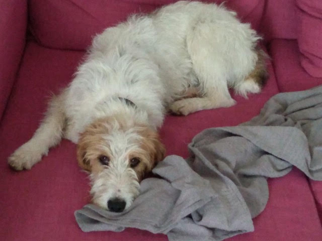 Nico et lola5