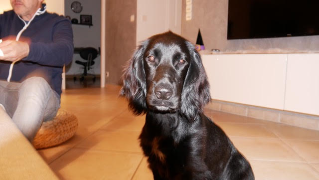 Onyx8
