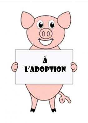 Pancarte a l adoption 1