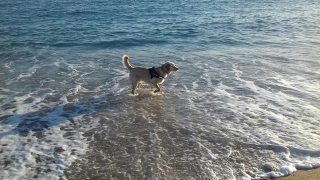 Paolo8