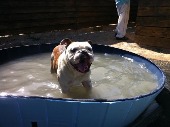 Piscine itty