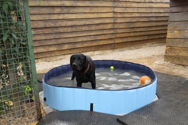 Piscine joss