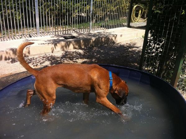 Piscine lola