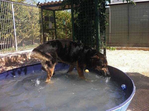 Piscine omer