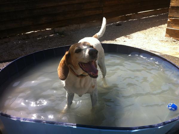 Piscine pepsi