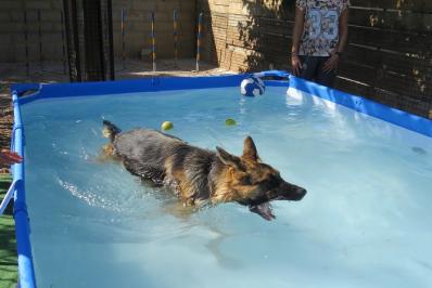 Piscine2 chronique juillet