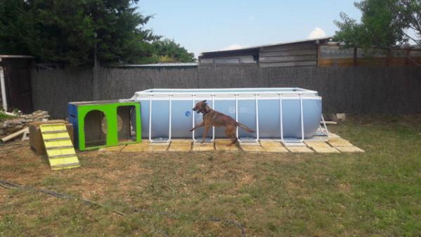 Piscine3