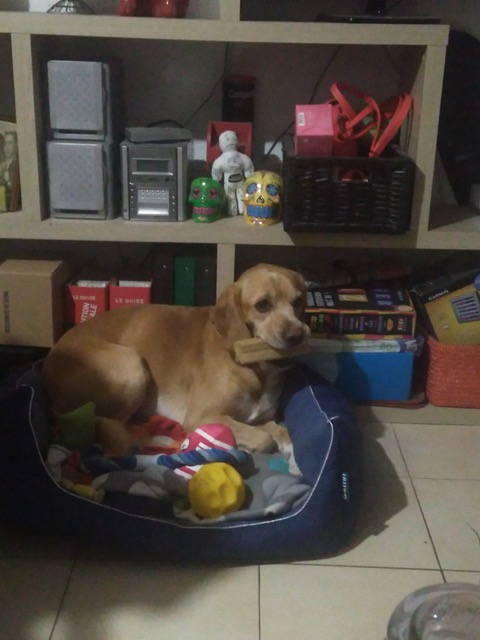 Raoul1
