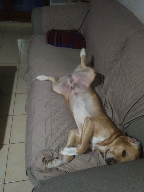 Raoul3