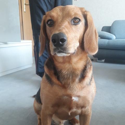 Riley 4