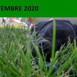 Septembre 2020