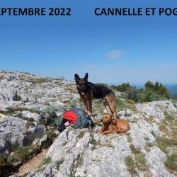 Septembre 2022