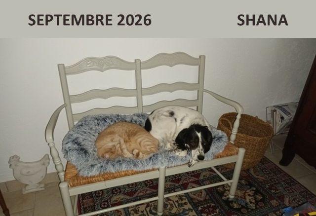 Septembre 2026
