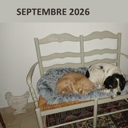 Septembre 2026