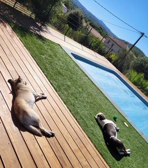 Simba et masha 13