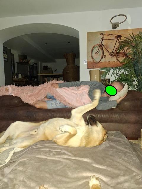 Suki 2