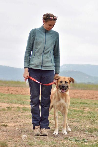 Suki g1