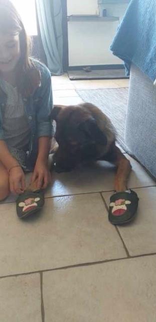Taz 3