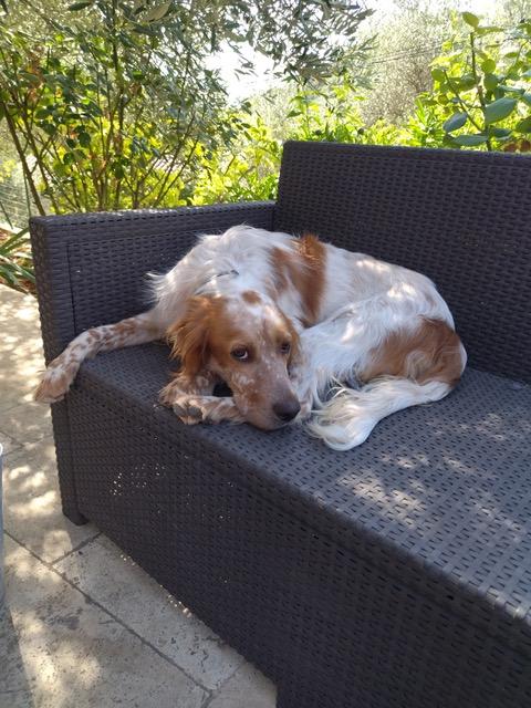 Tiago 1
