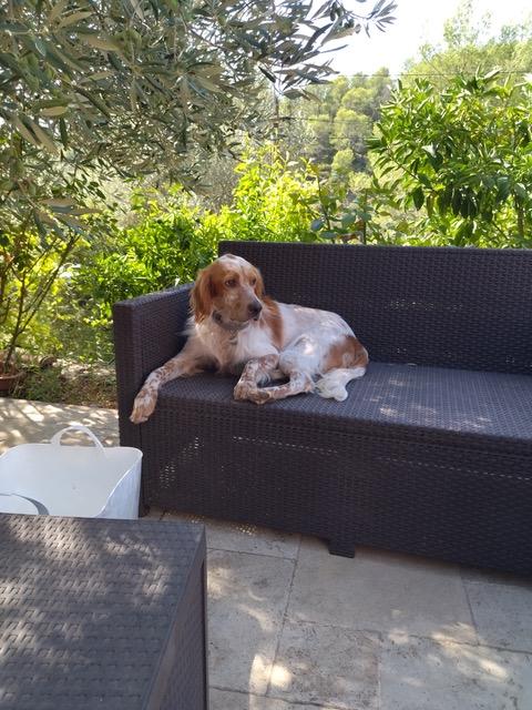 Tiago 2
