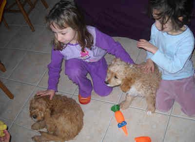 Ucky scampy 06