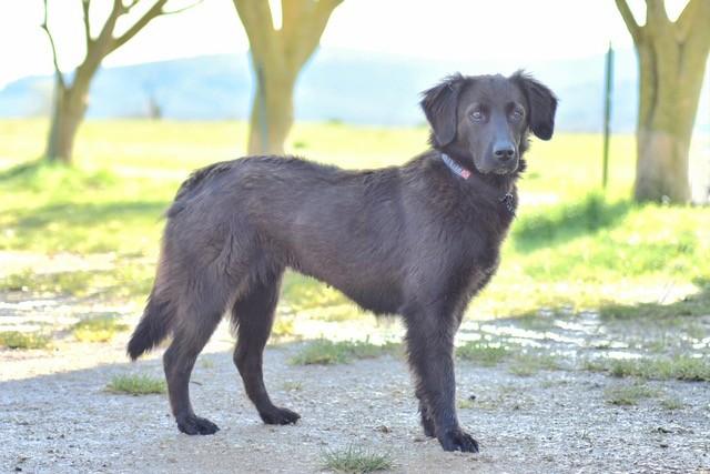 Ulina e1