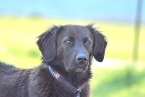 Ulina t2