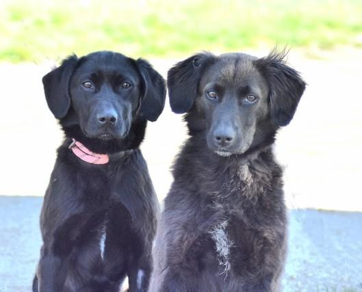 Ulma et ulina