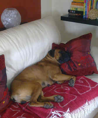 Vicky 2