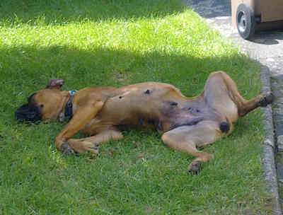 Vicky 6