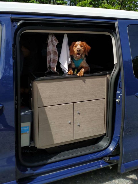 Vito12