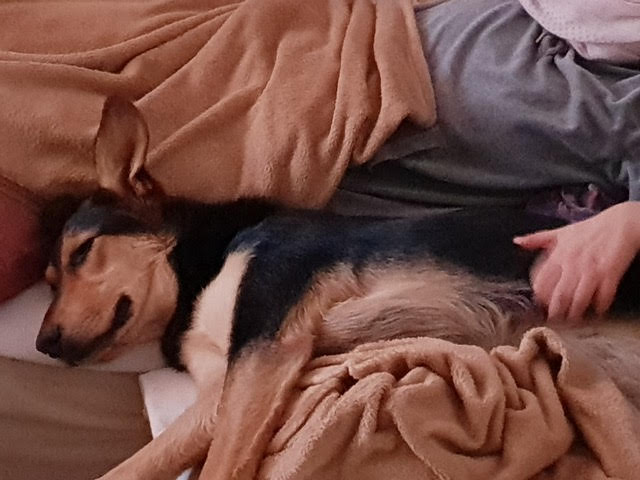 Zoe1